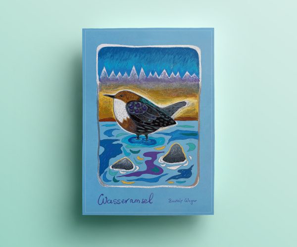 Wasseramsel, Plakat, Naturpark Karwendel